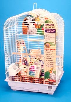View of Cockatiel Starter Kit | Just For Parrots